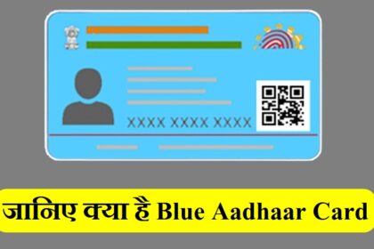 Blue Aadhaar Card