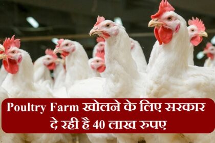 Poultry Farm