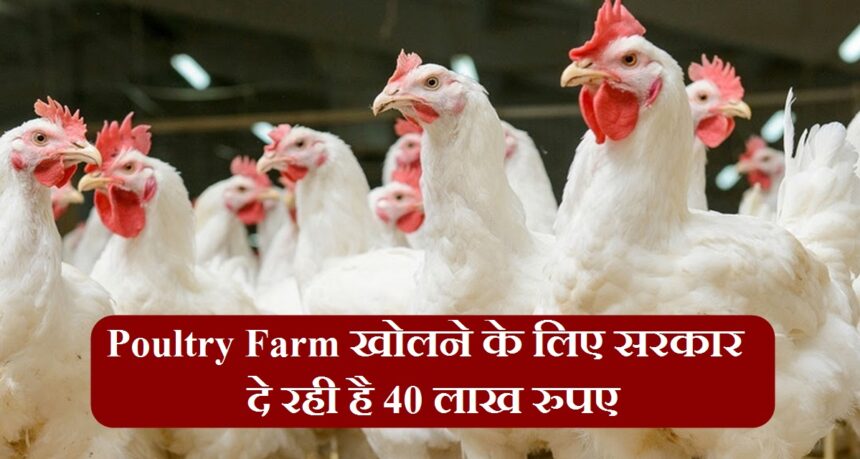 Poultry Farm